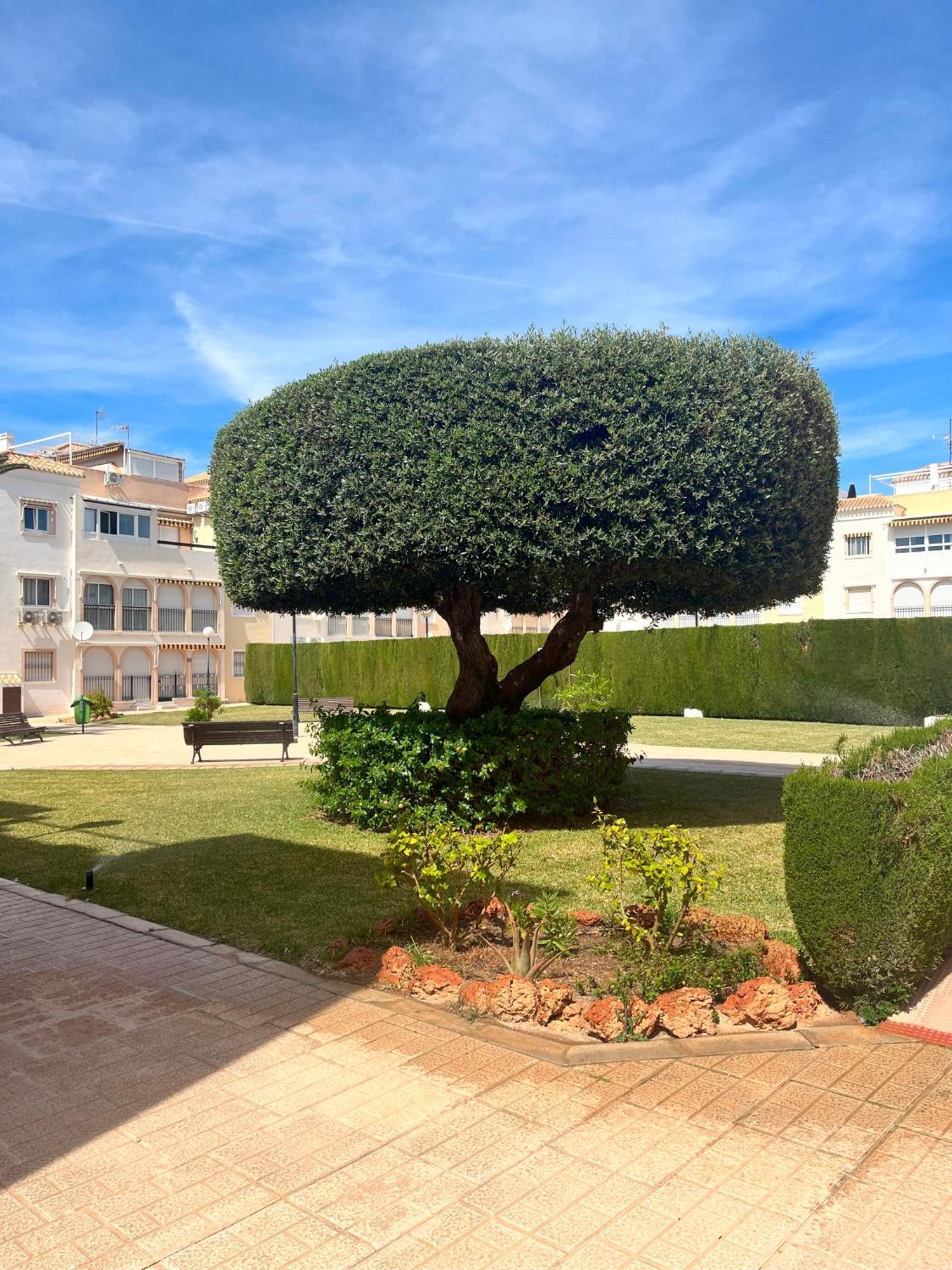 Torrevieja 2 Bedrooms Appartment Exterior foto